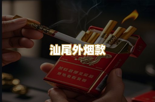 汕尾外烟款